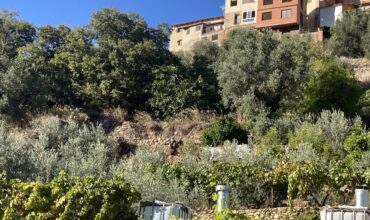TIERRAS EN VENTA