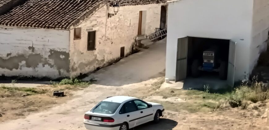 Finca y casa a la venta en la pedanía Fuente Higuera