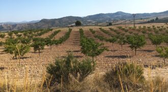 Finca y casa a la venta en la pedanía Fuente Higuera