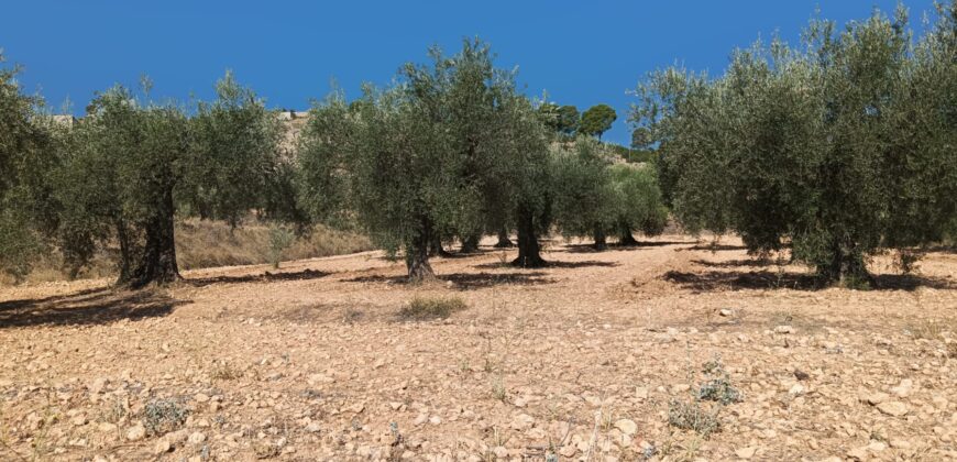 Finca y casa a la venta en la pedanía Fuente Higuera